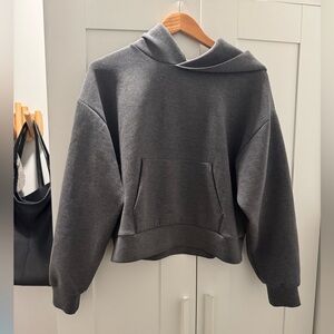 Aritzia Babaton The Group Charcoal Grey Hoodie Sz S Oversized